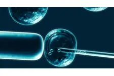 Kök Hücre Özellikleri ve Faydaları Nelerdir?