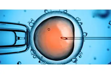 Fetal Kök Hücre Özellikleri ve Faydaları Nelerdir?