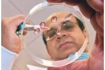 Kök Hücre Ameliyatı Riskleri ve Sonrası